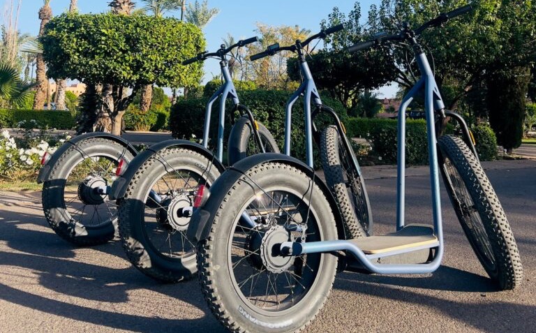 WhatsApp-Image-2024-11-22-at-16.43.38-768x1024