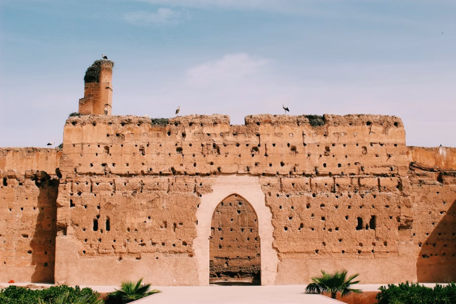 photo-1751053980204-e1dd2a409bff